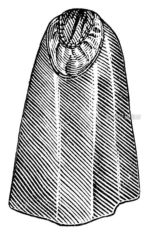 游丝橡胶雨衣- 19世纪